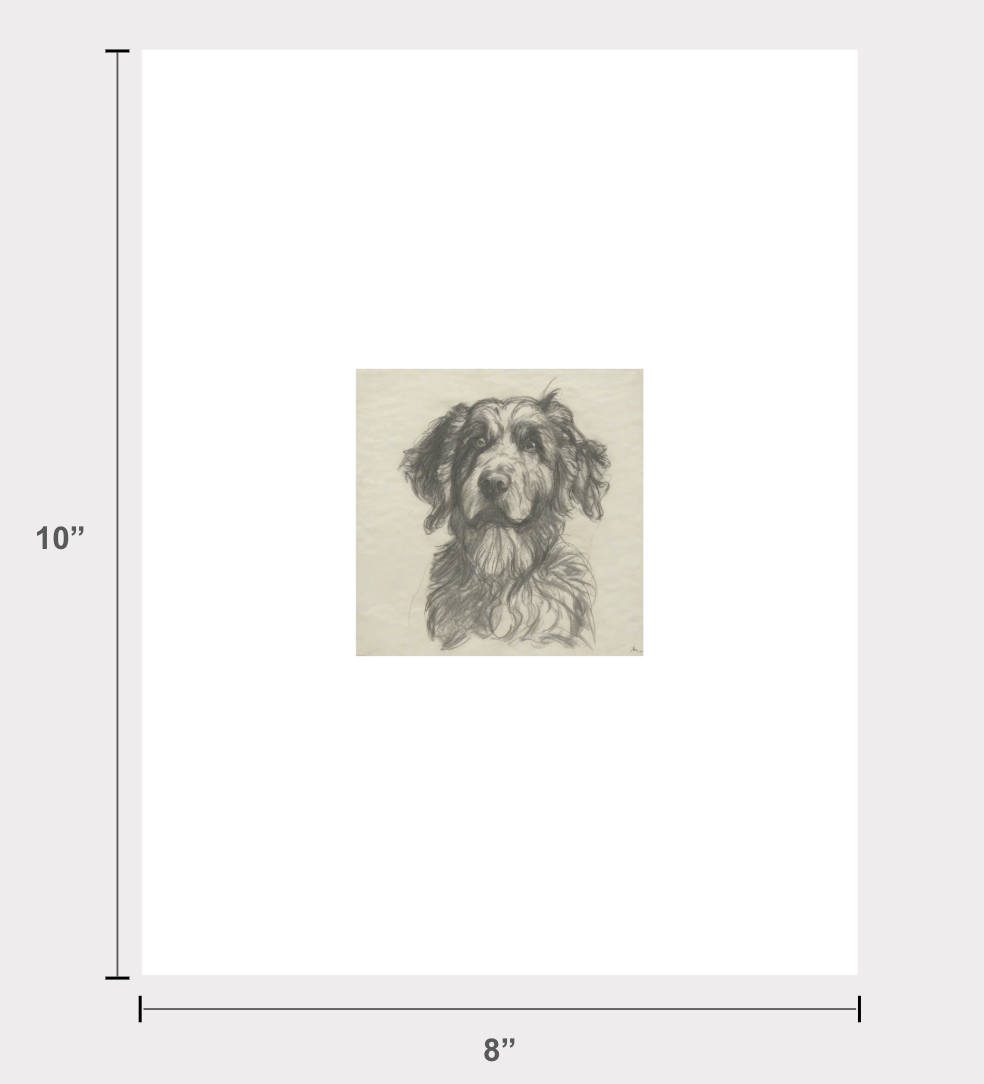 Australian Shepherd Edition .02