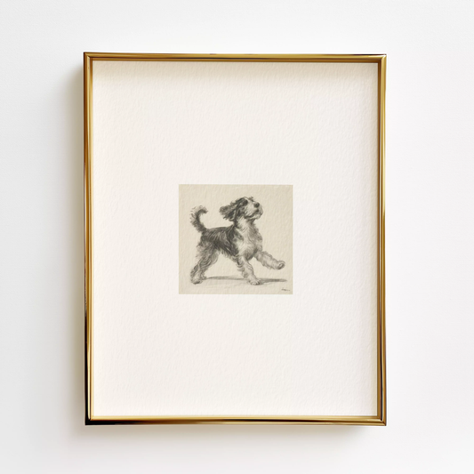 Bernedoodle Edition .03