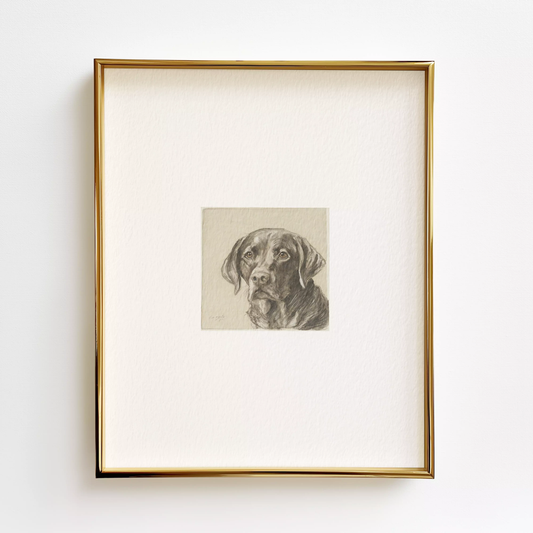 Labrador Edition .02