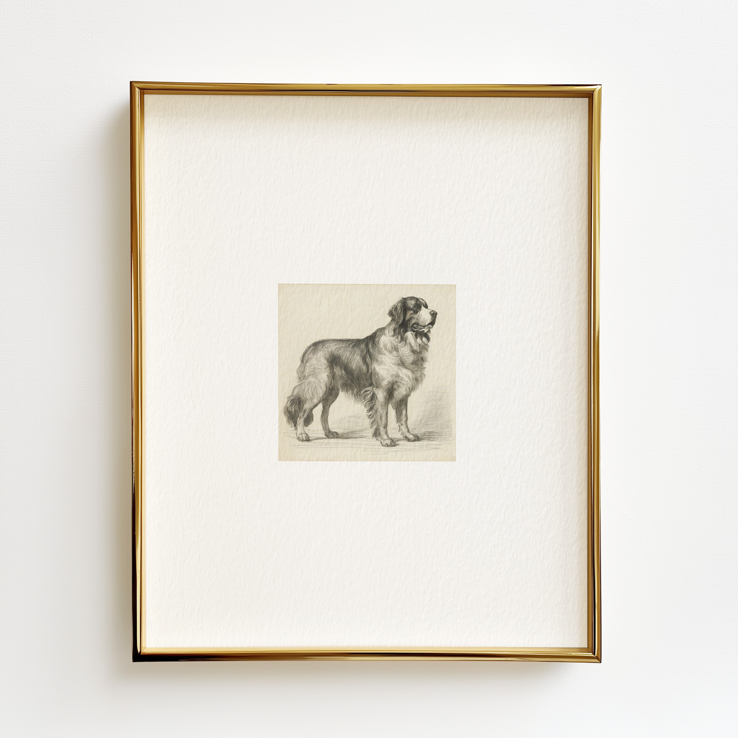 Bernese Mountain Dog Edition .03