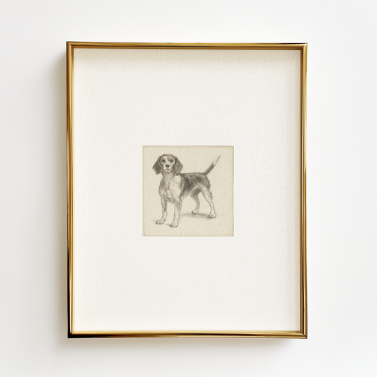 Beagle Edition .03