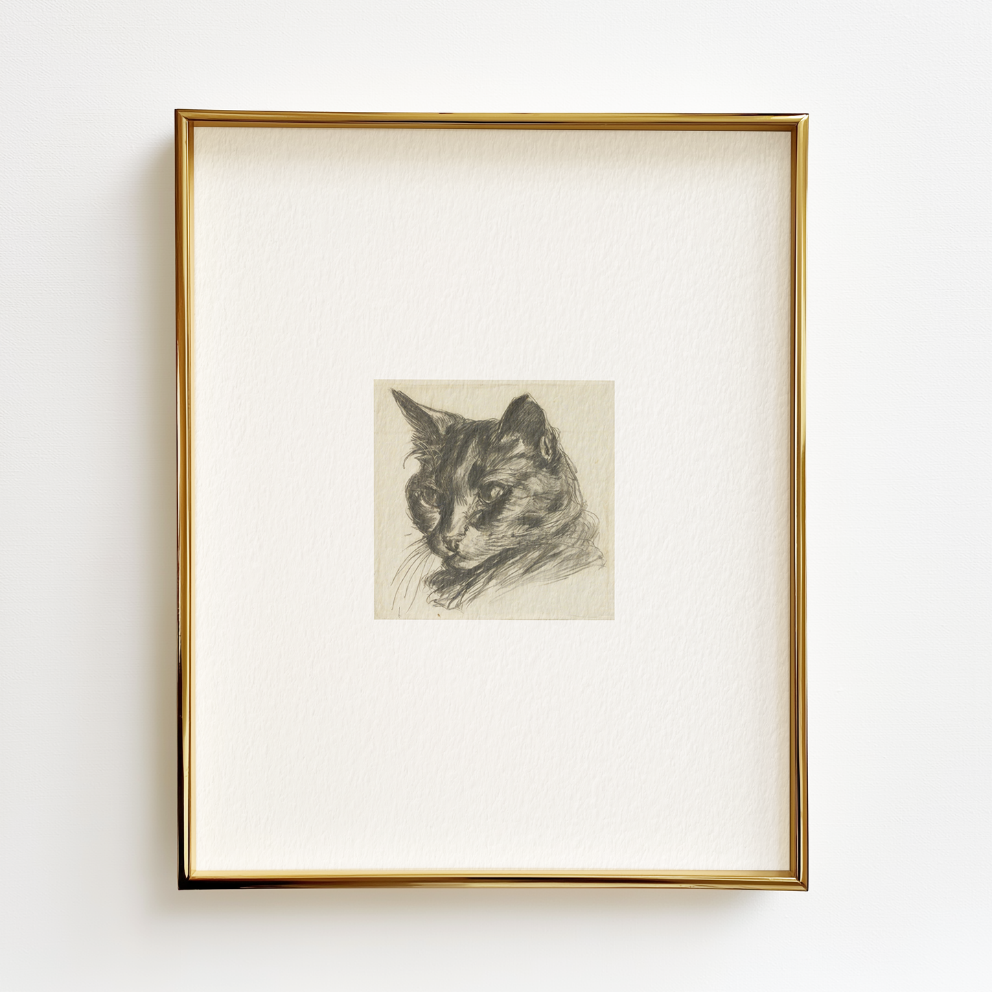 Black Cat Edition .01