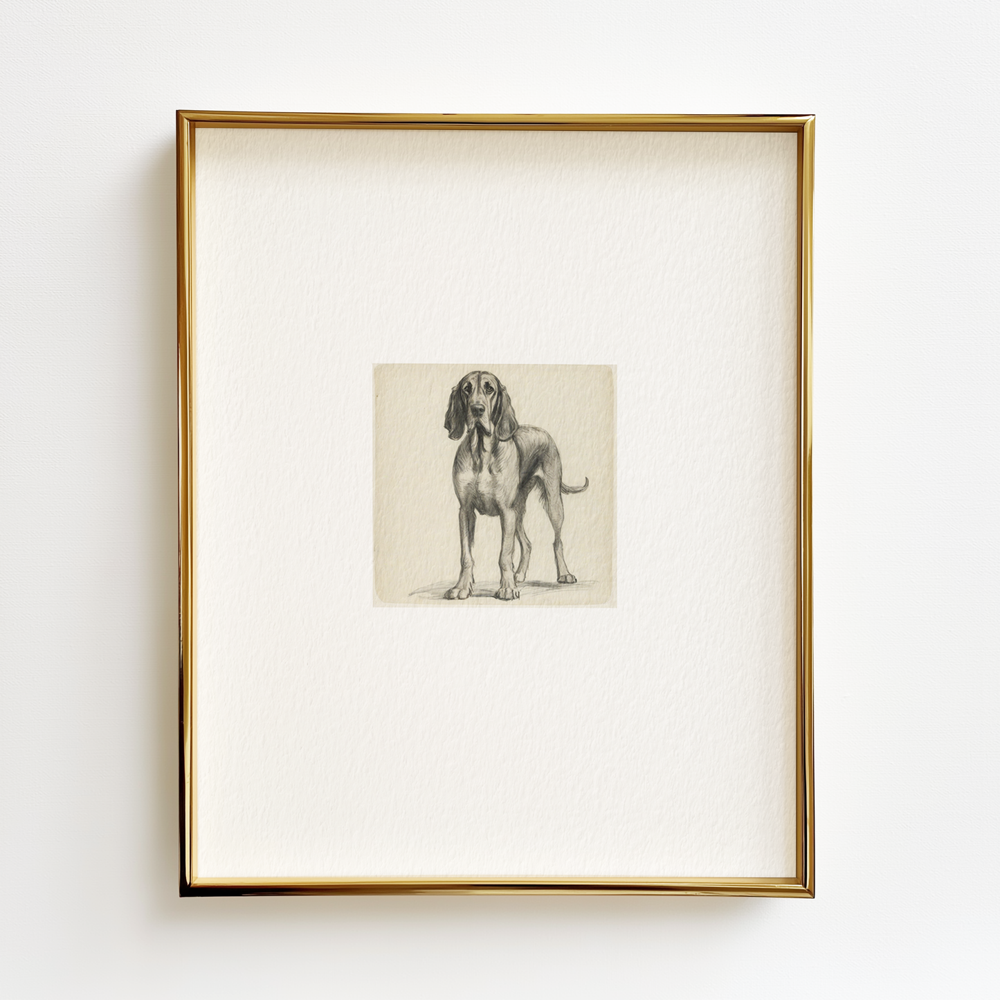 Bloodhound Edition .03