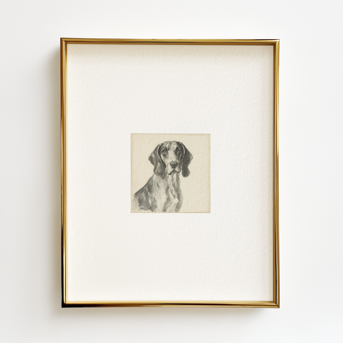 Bluetick Coonhound Edition .01