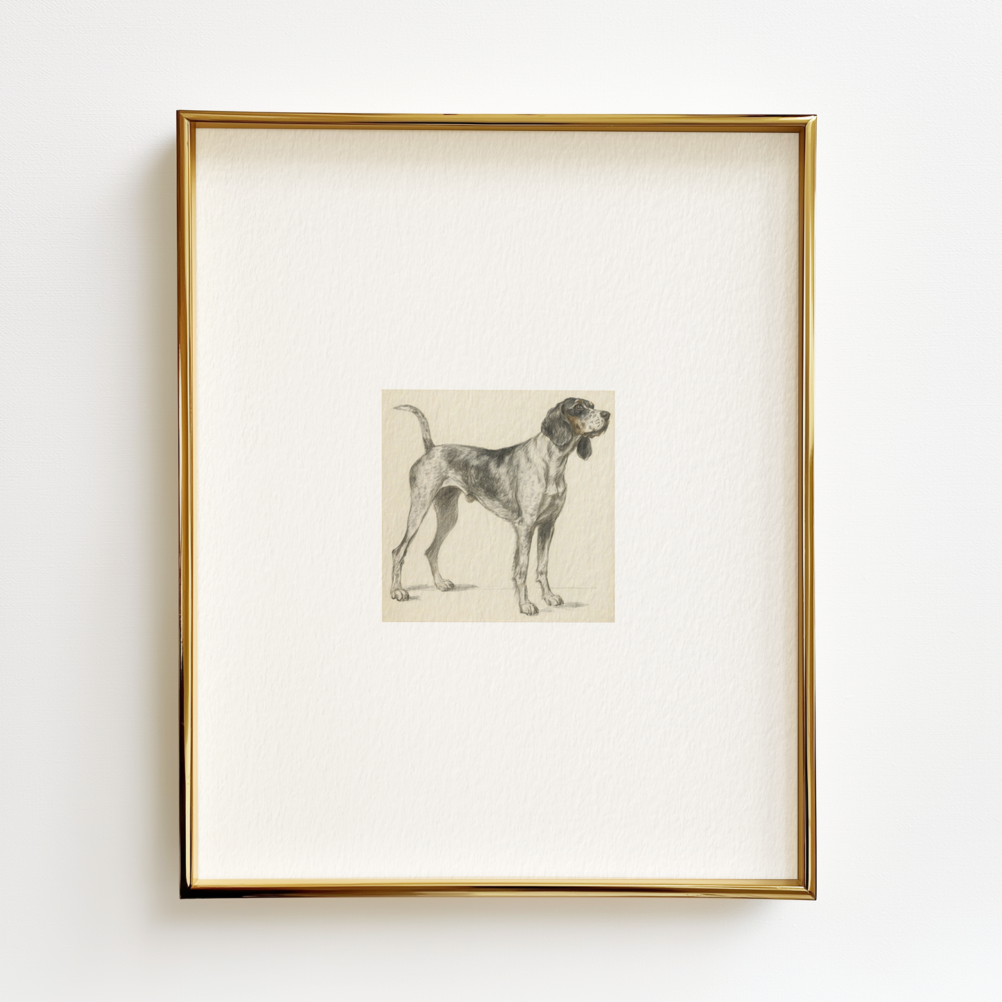 Bluetick Coonhound Edition .03