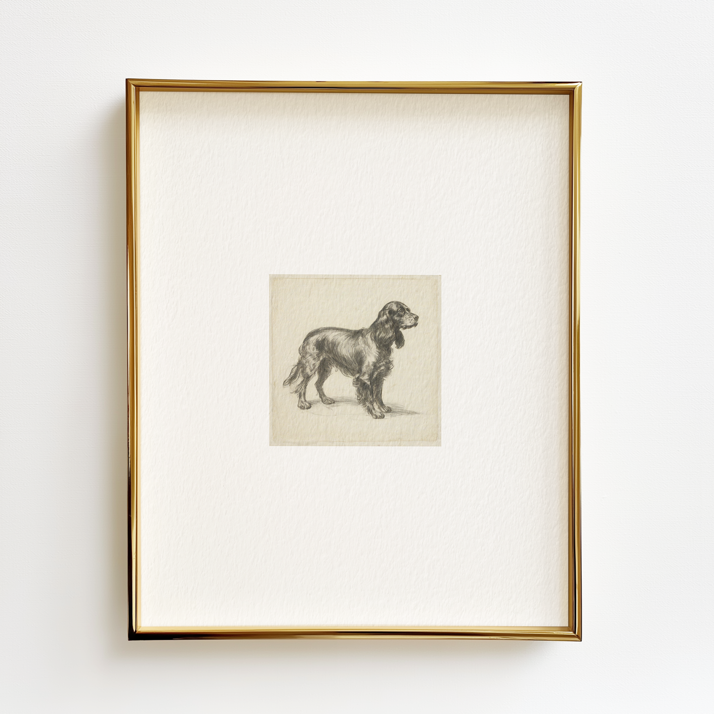 Boykin Spaniel Edition .03