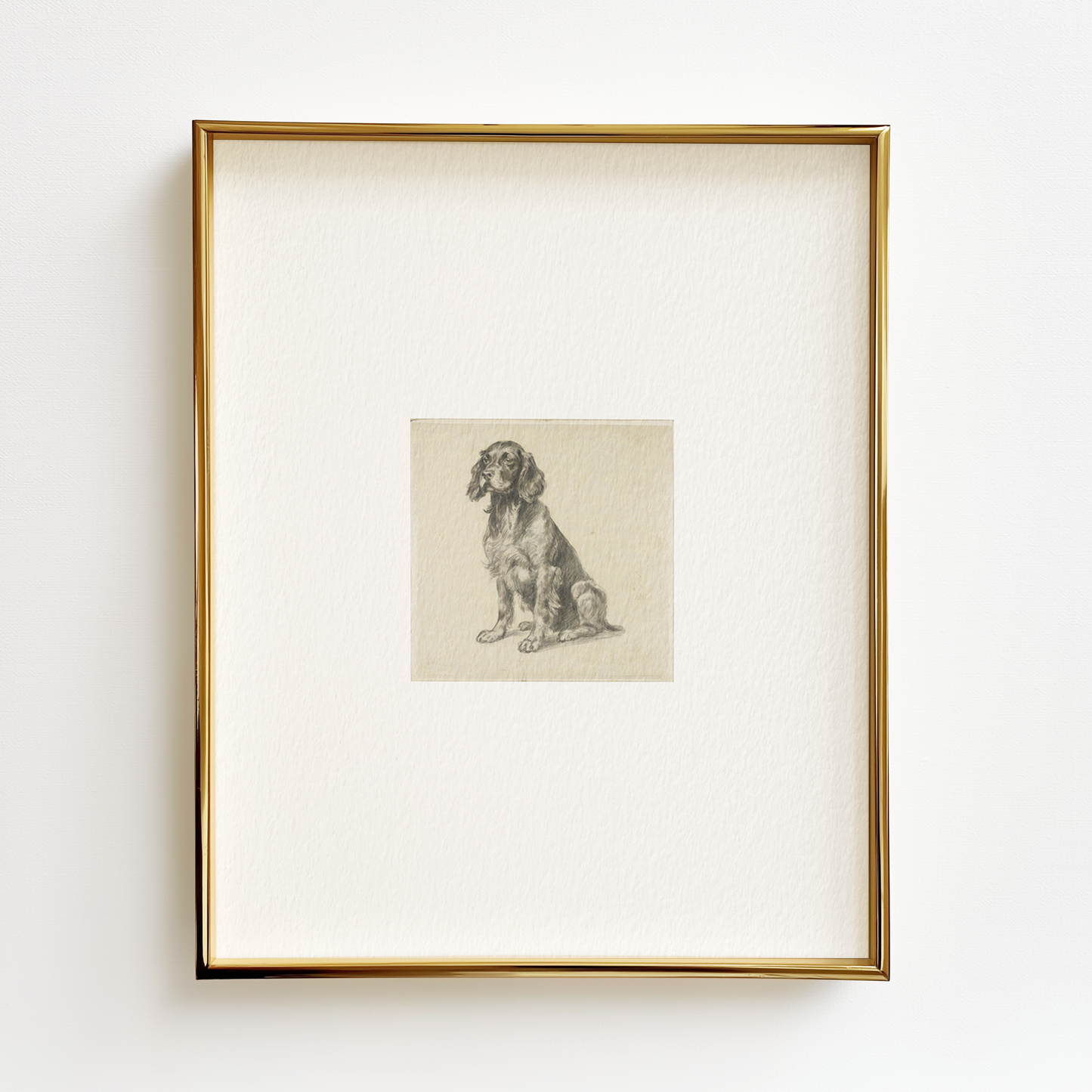 Boykin Spaniel Edition .02