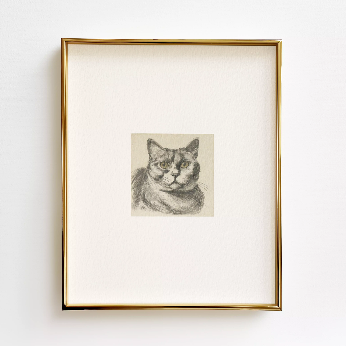 British Shorthair Edition .01