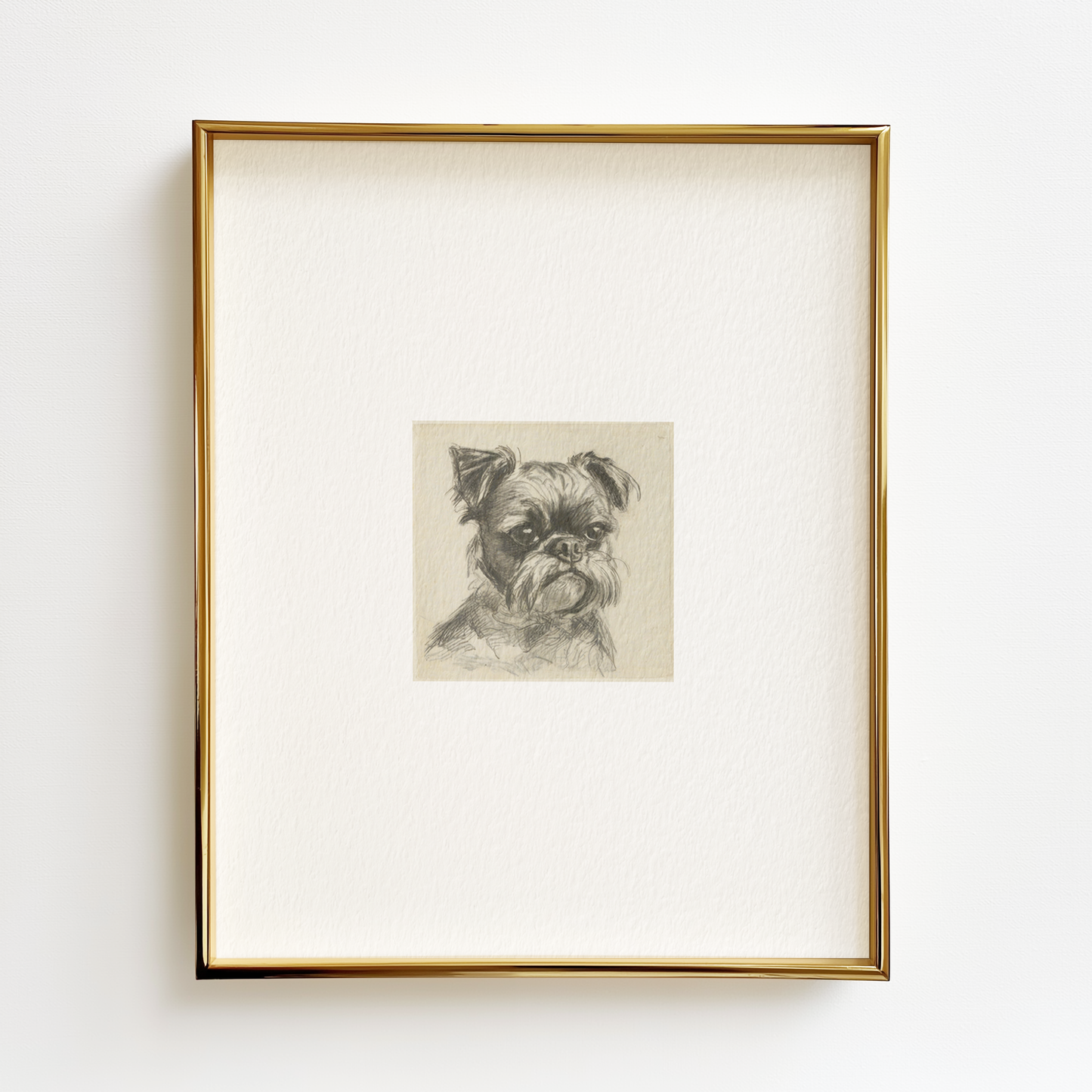 Brussels Griffon Edition .01