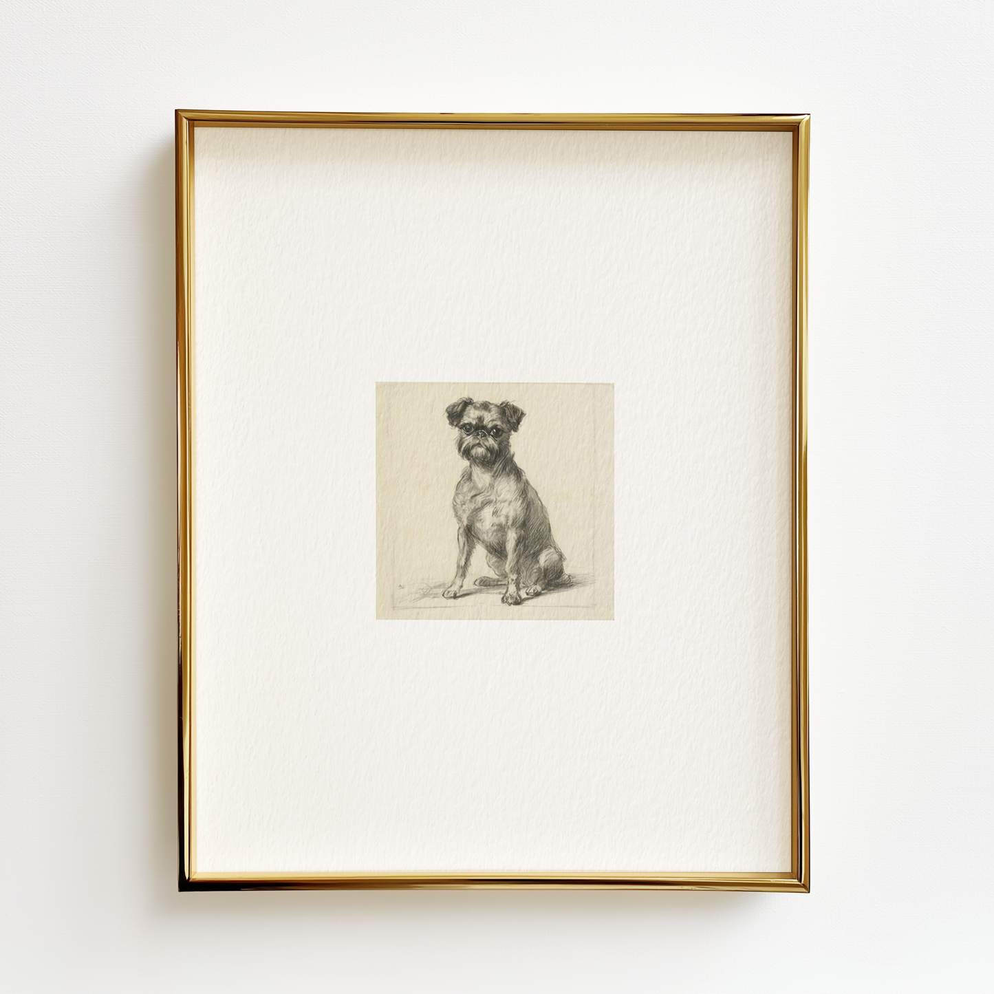 Brussels Griffon Edition .02