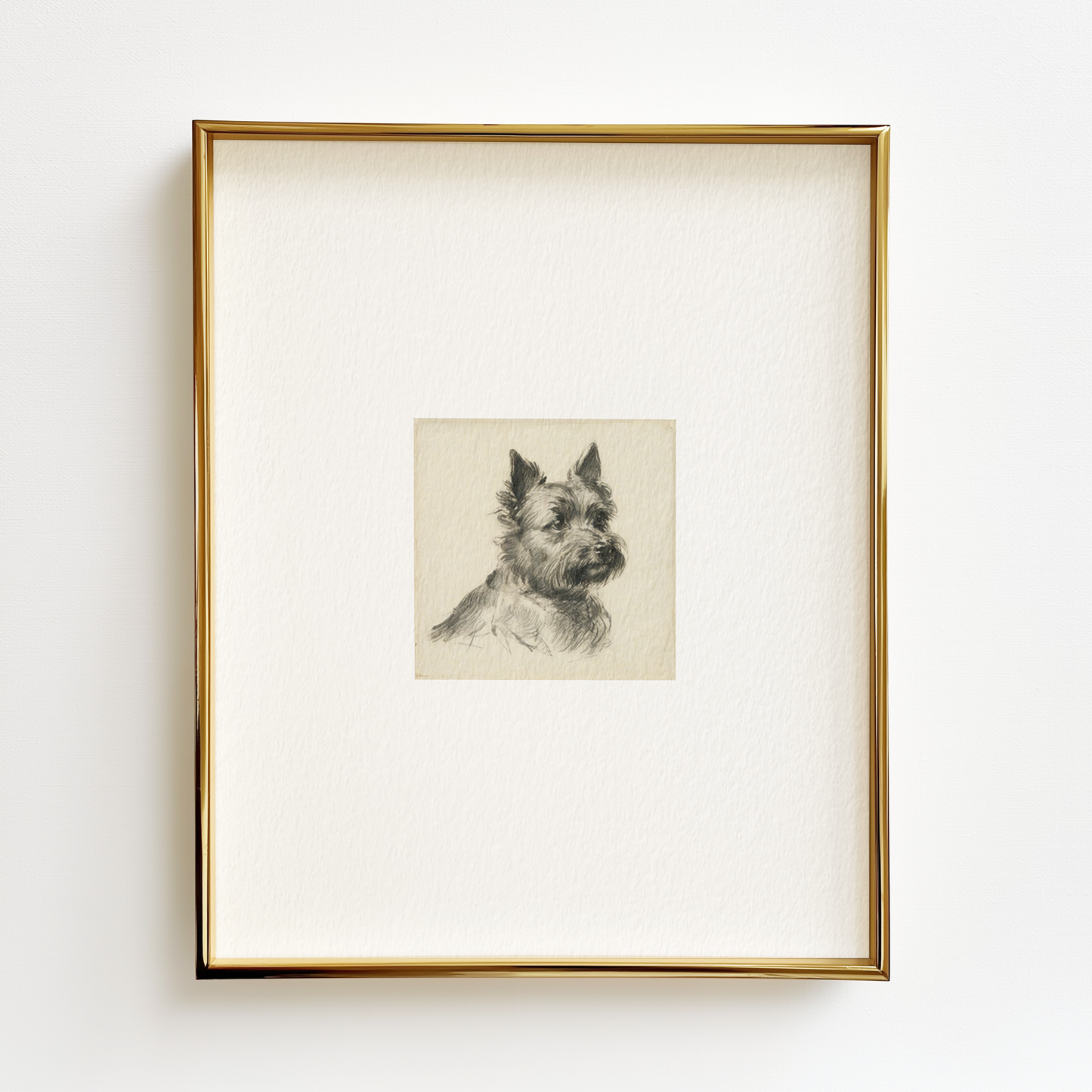 Cairn Terrier Edition .01