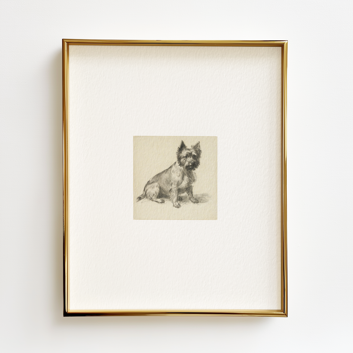 Cairn Terrier Edition .02