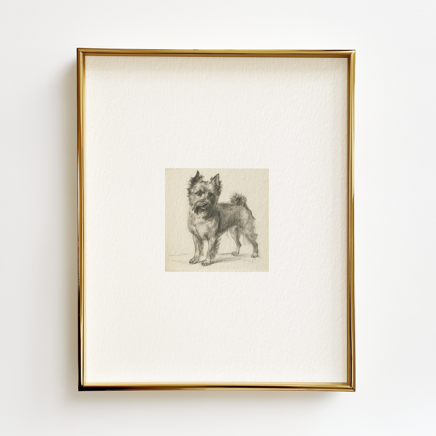 Cairn Terrier Edition .03