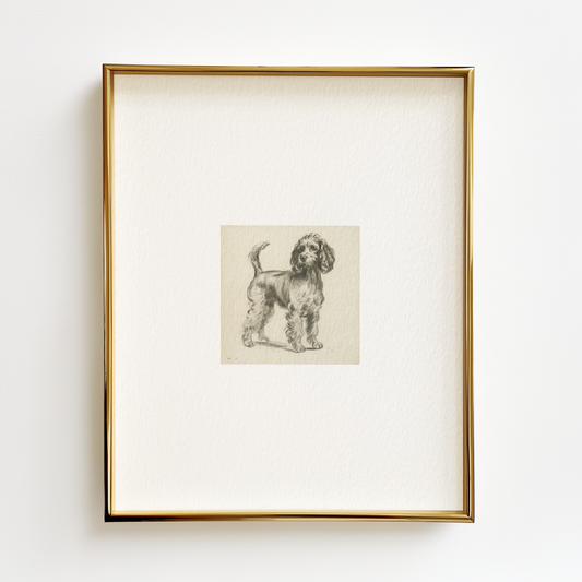 Cockapoo Edition .03