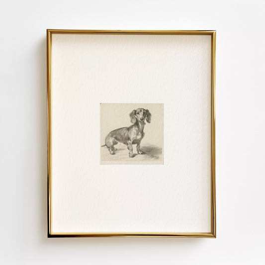 Dachshund Edition .01