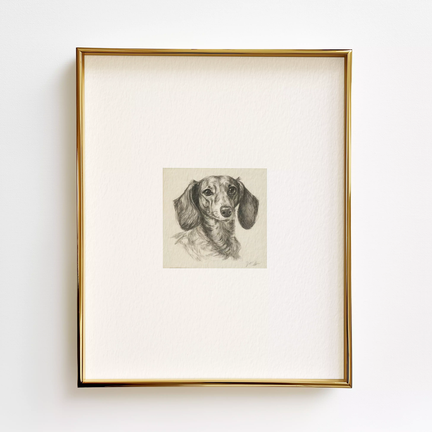 Dachshund Edition .02