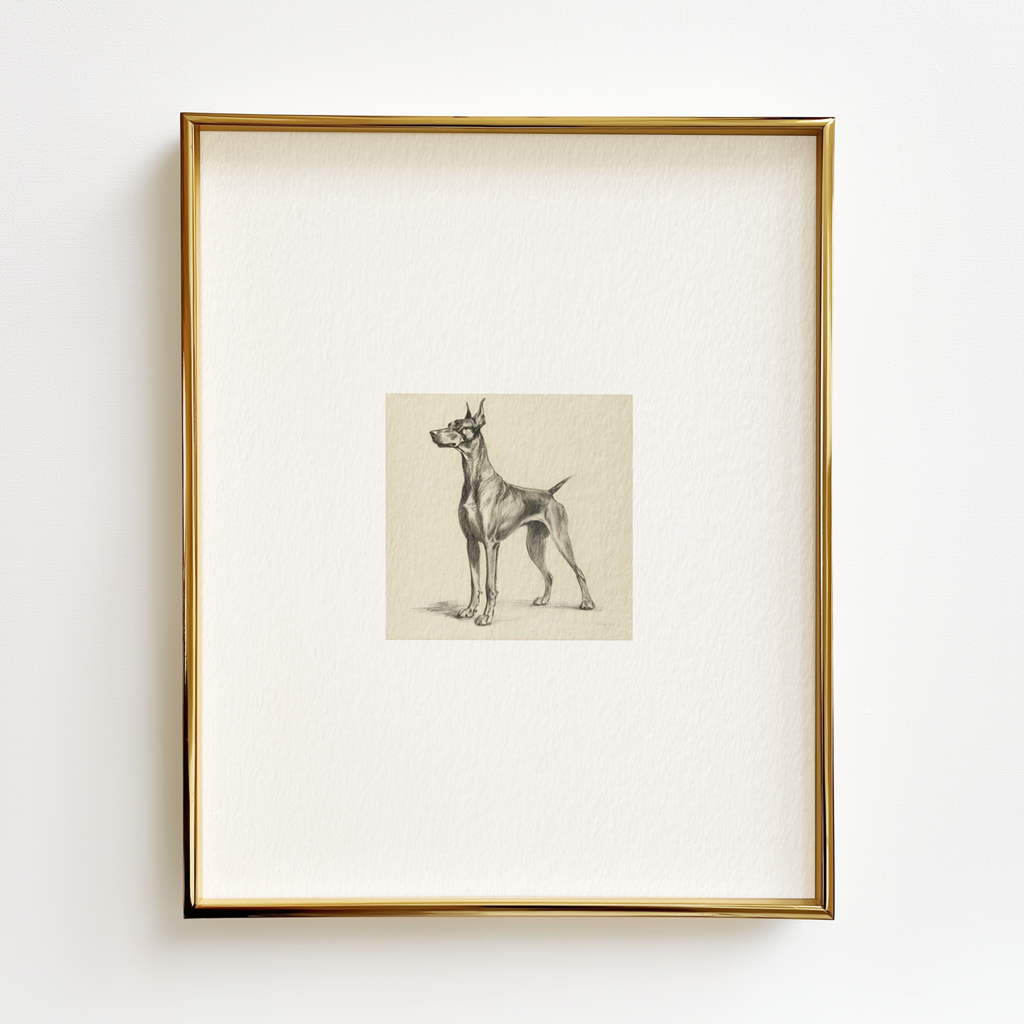 Doberman Edition .03