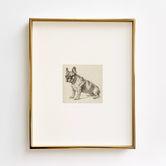 French Bulldog Edition .02