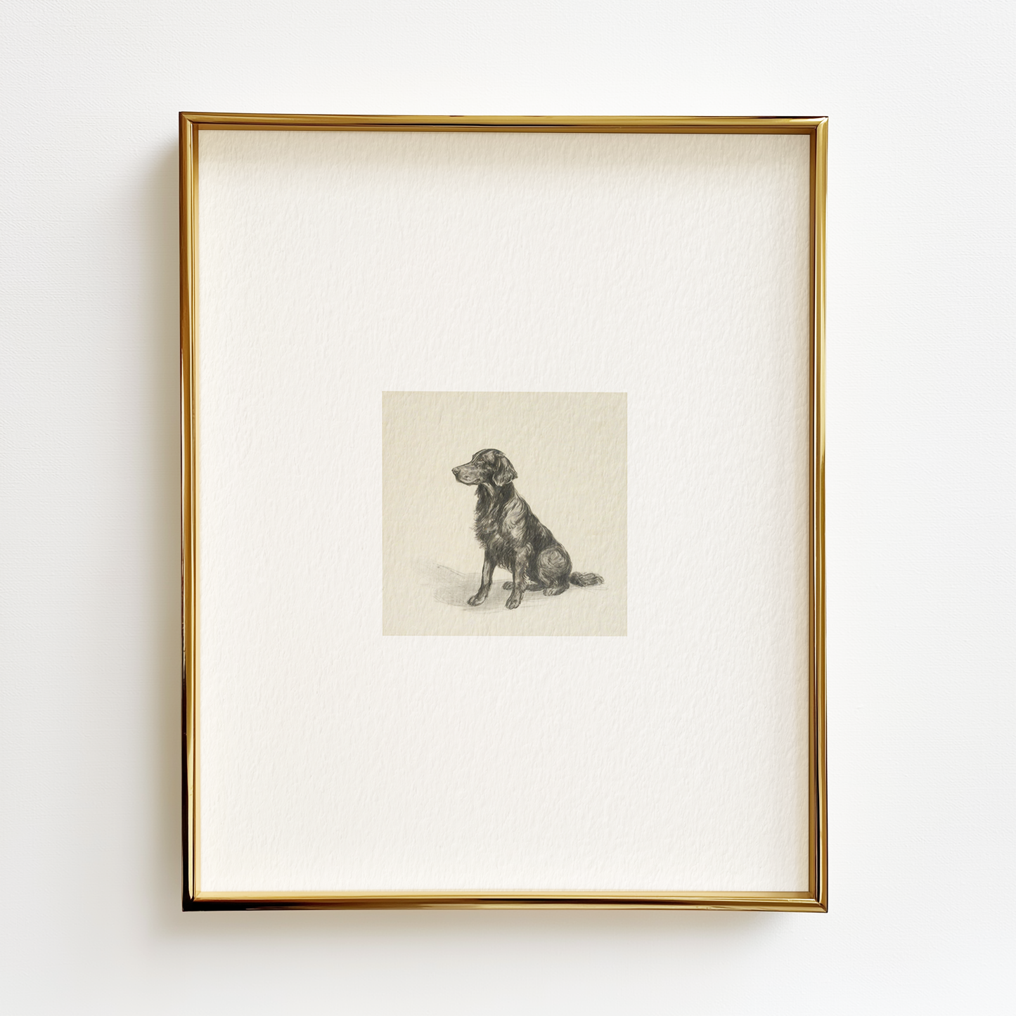 Flat Coat Retriever Edition .02