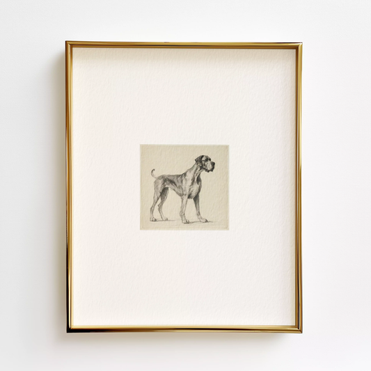 Great Dane Edition .02