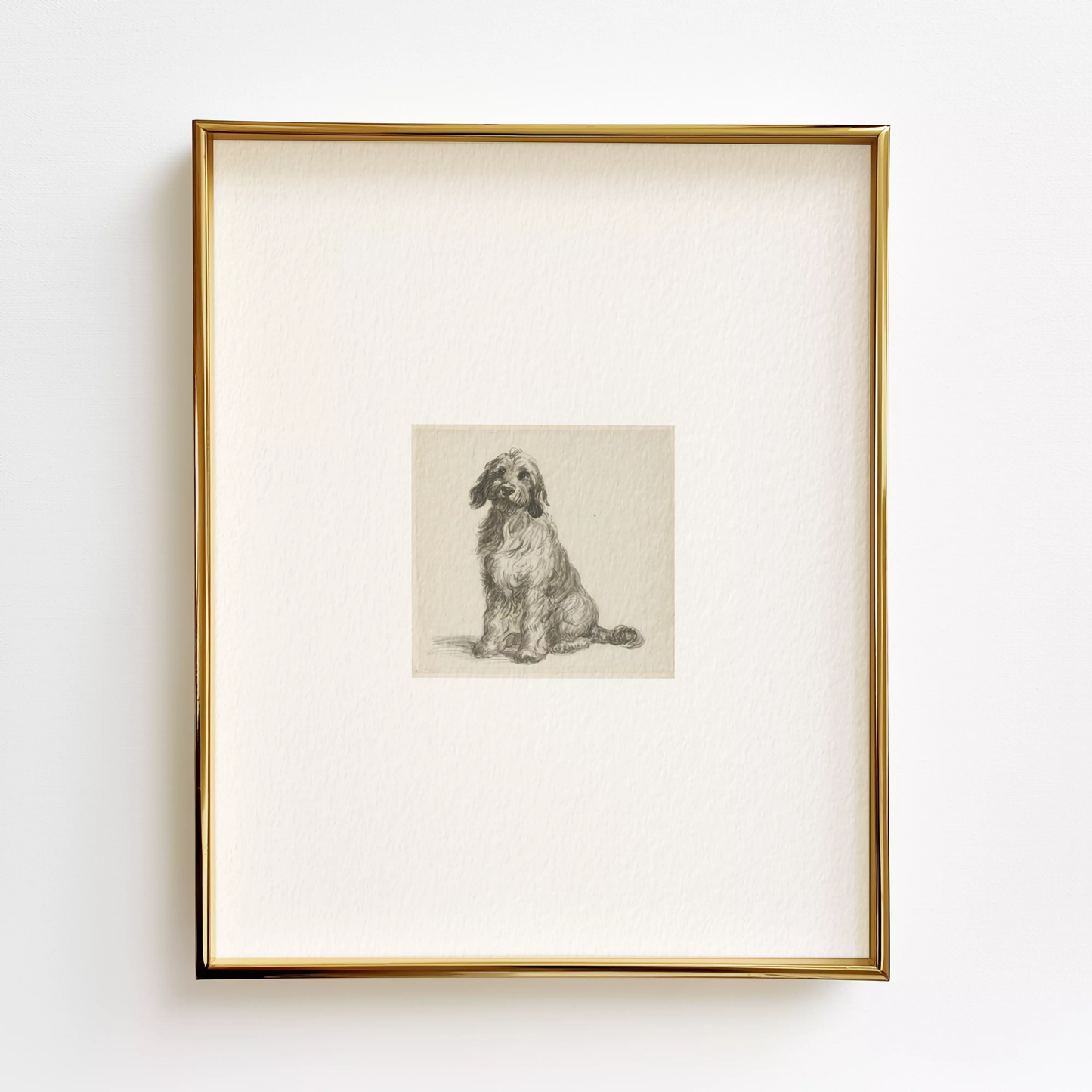 Goldendoodle Edition .01