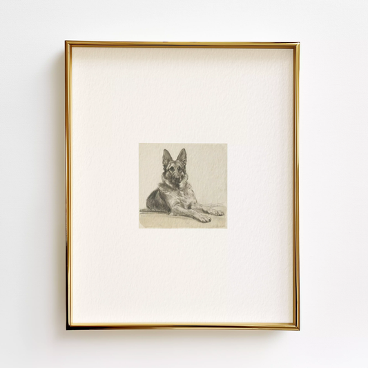 German Shepherd Edition .03