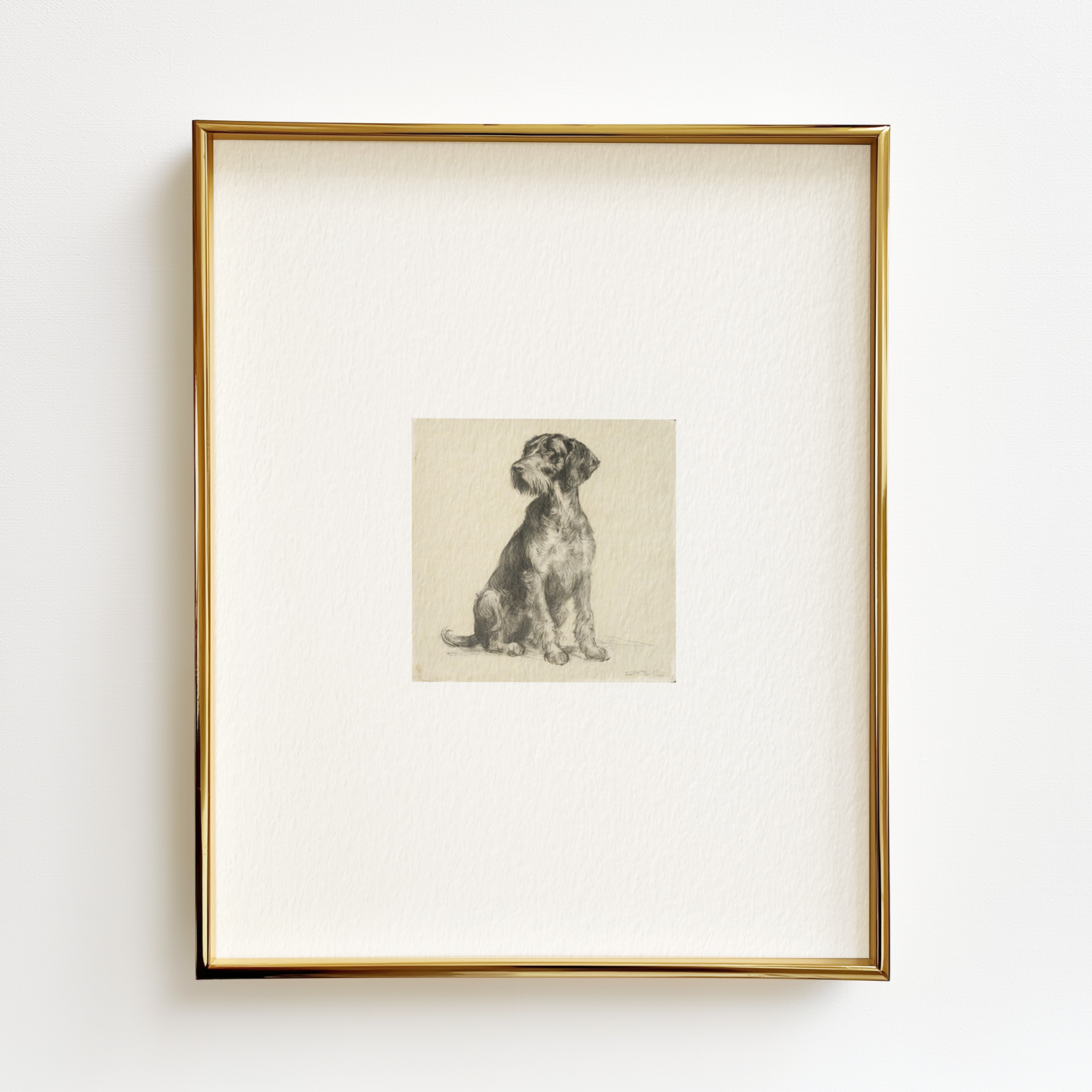 German Wirehaired Pointer Edition .02