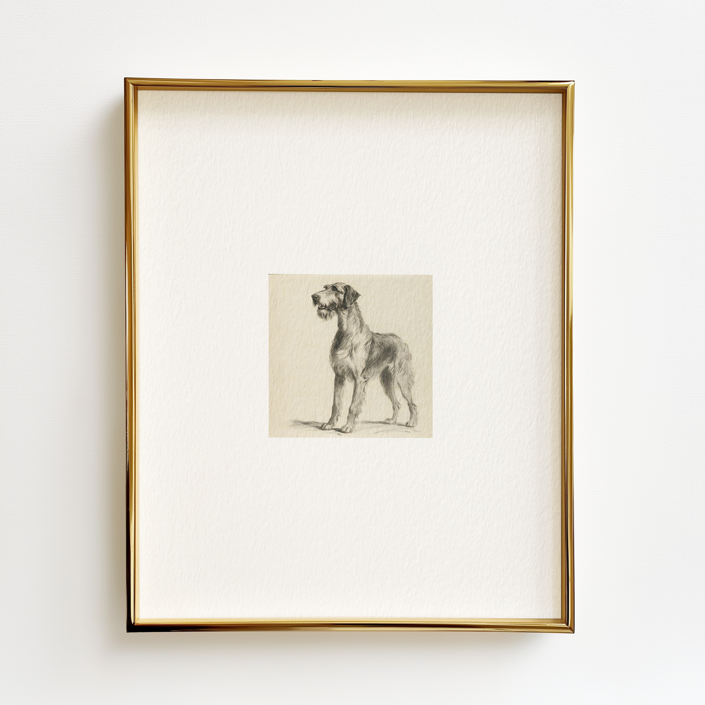 Irish Wolfhound Edition .03