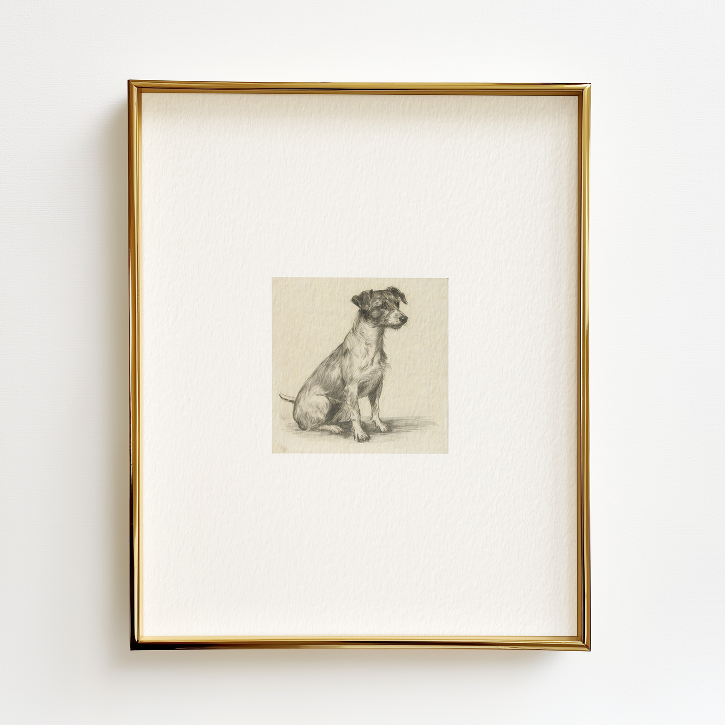 Jack Russell Terrier Edition .02