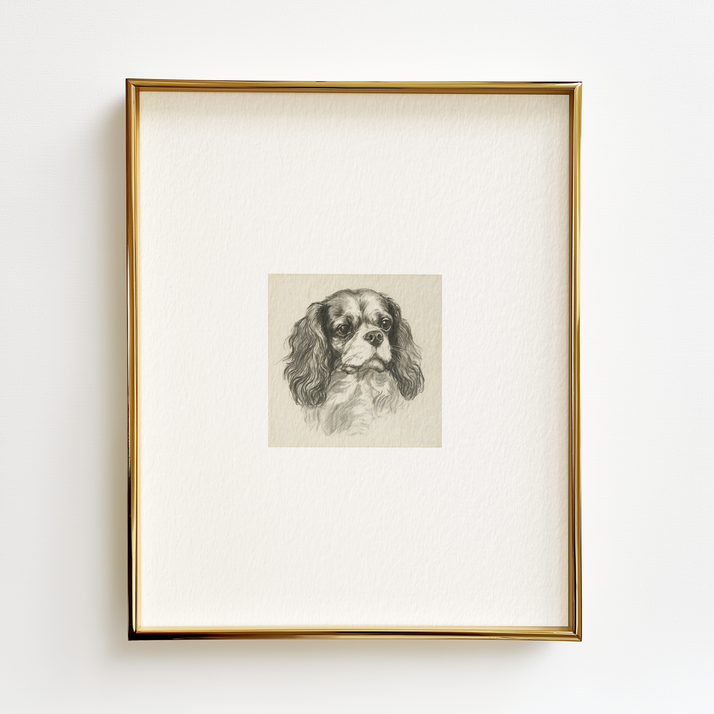 Cavalier King Charles Edition .01