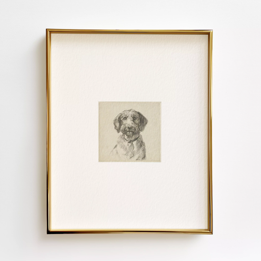 Labradoodle Edition .01