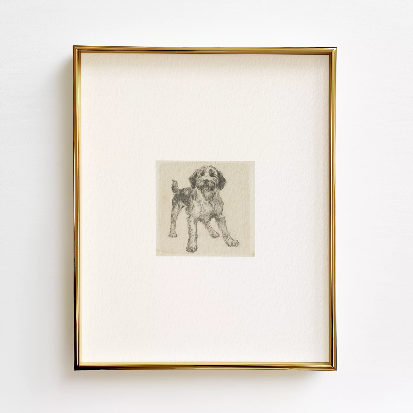 Labradoodle Edition .02