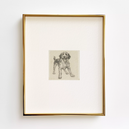 Labradoodle Edition .02