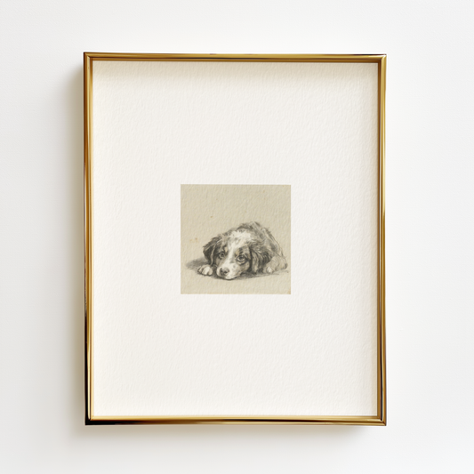 Mini Aussie Edition .03