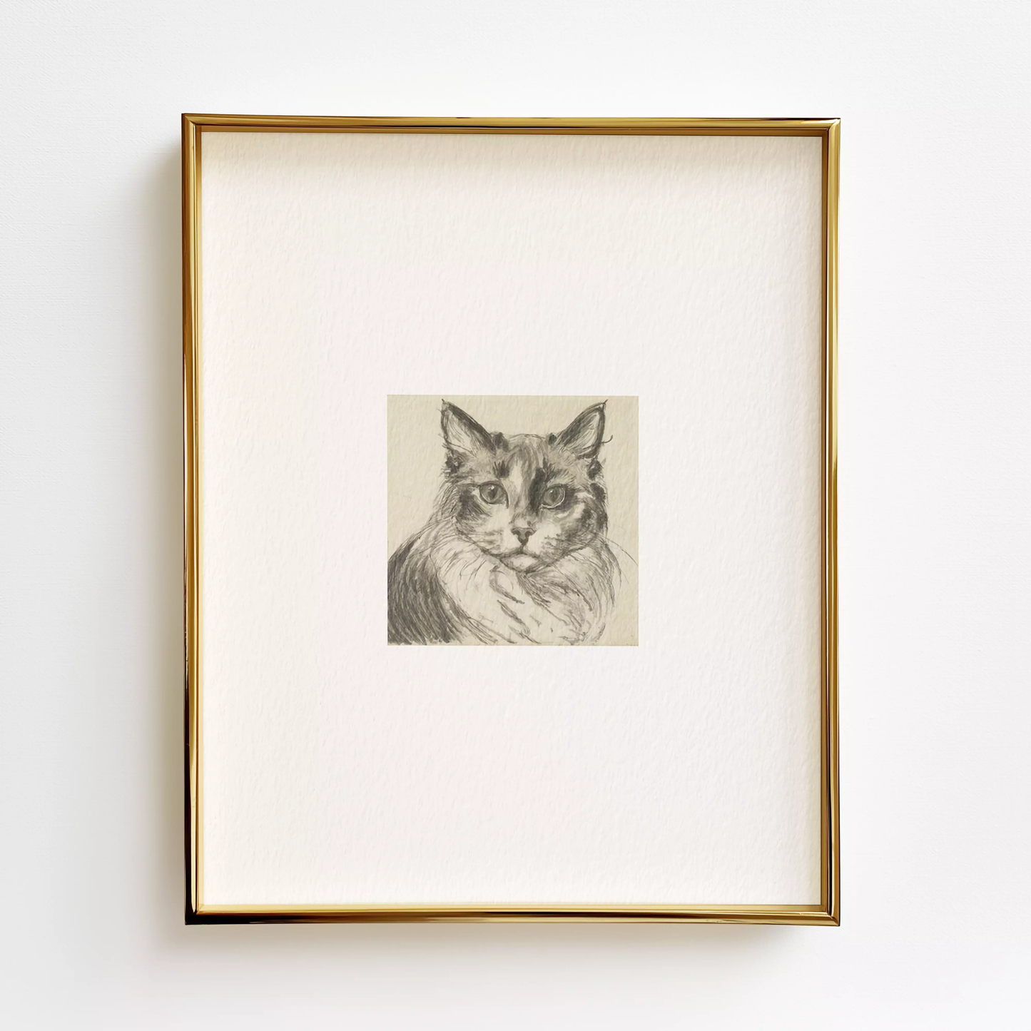 Maine Coon Edition .01