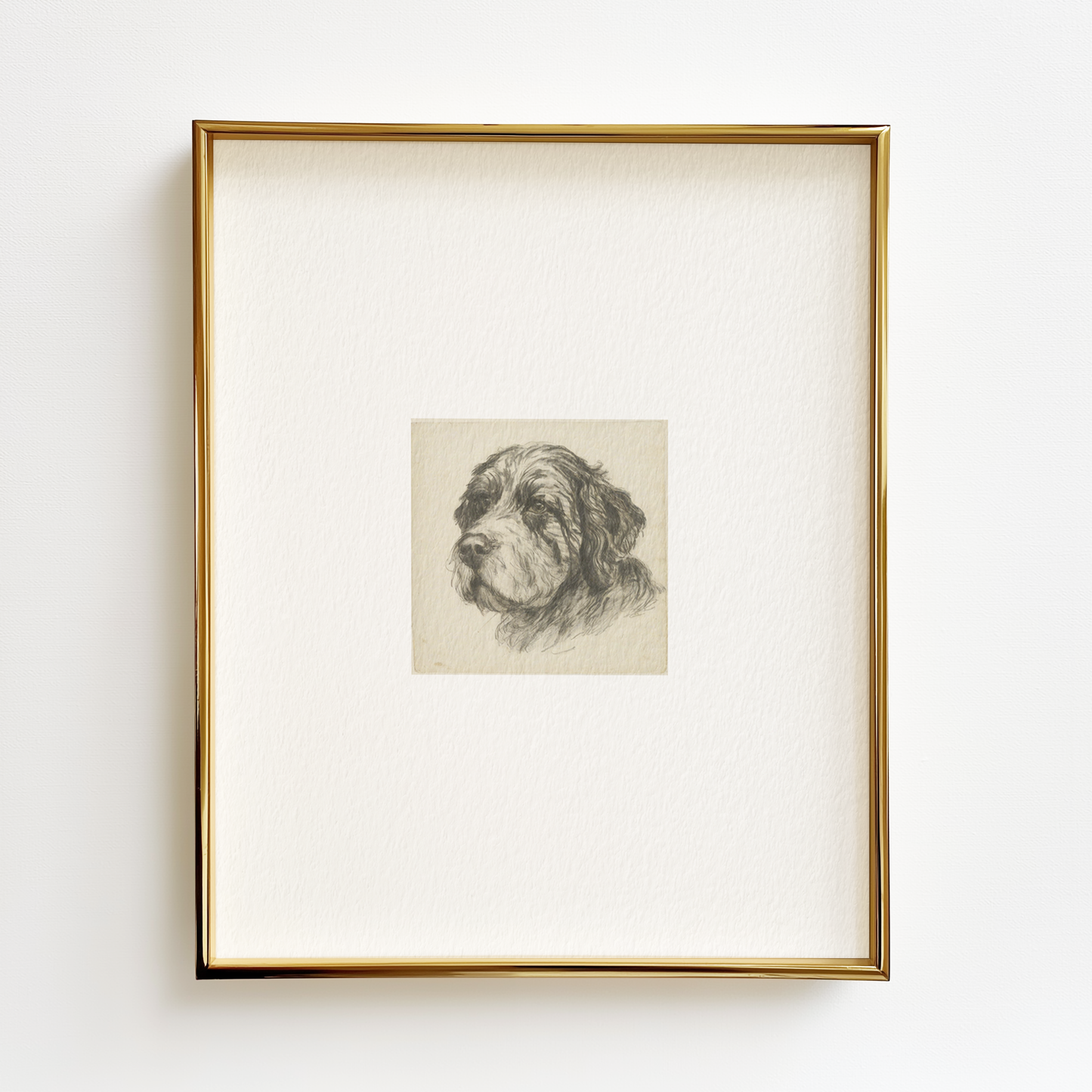 Portuguese Water Dog Edition .01