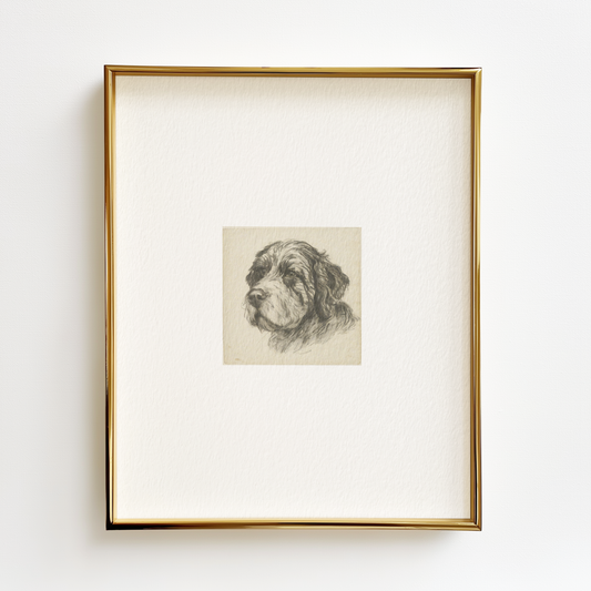 Portuguese Water Dog Edition .01