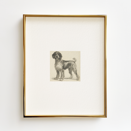 Portuguese Water Dog Edition .03