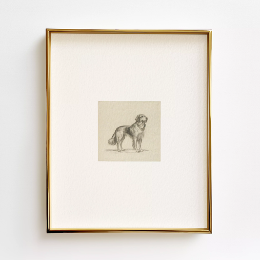 Golden Retriever Edition .03