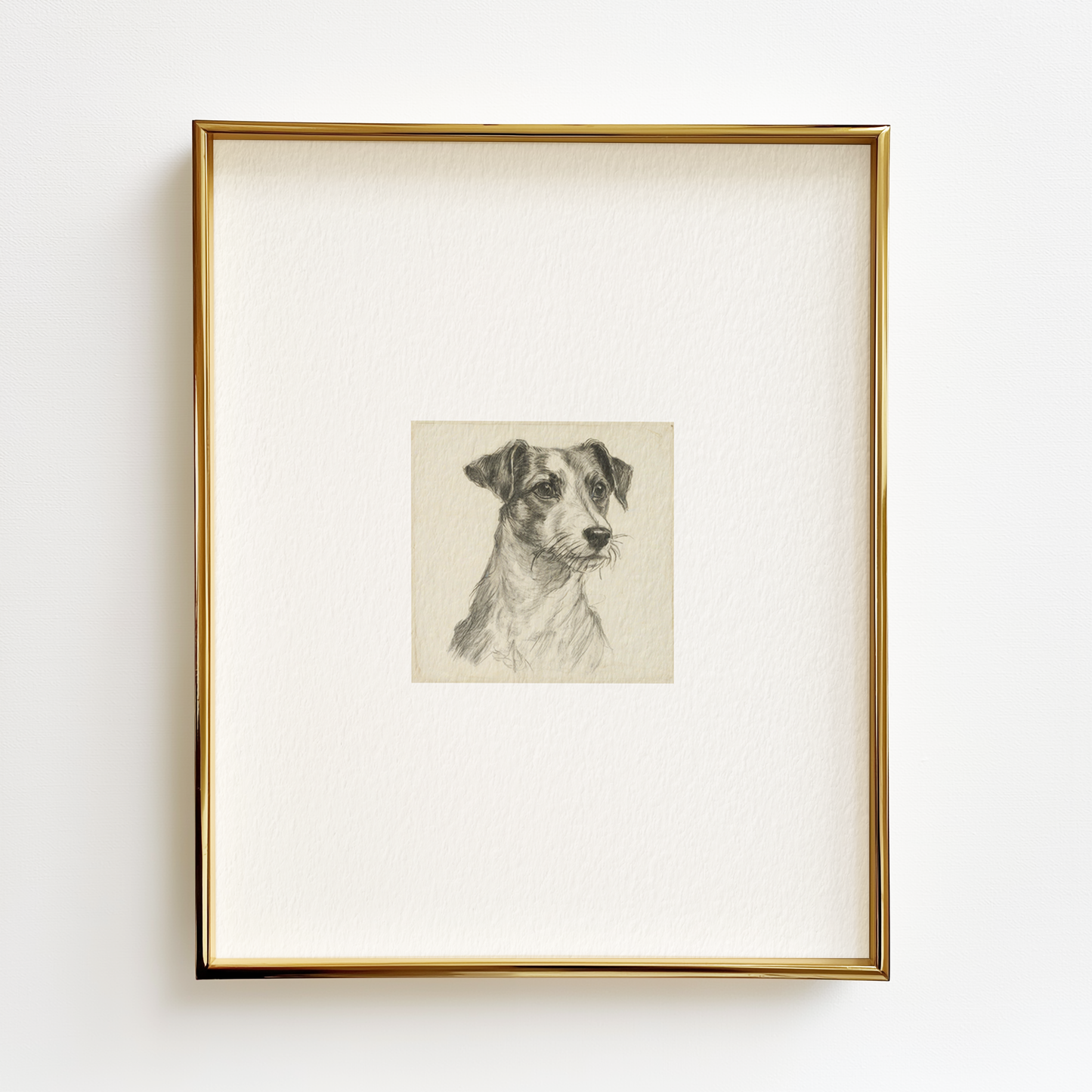 Rat Terrier Edition .01