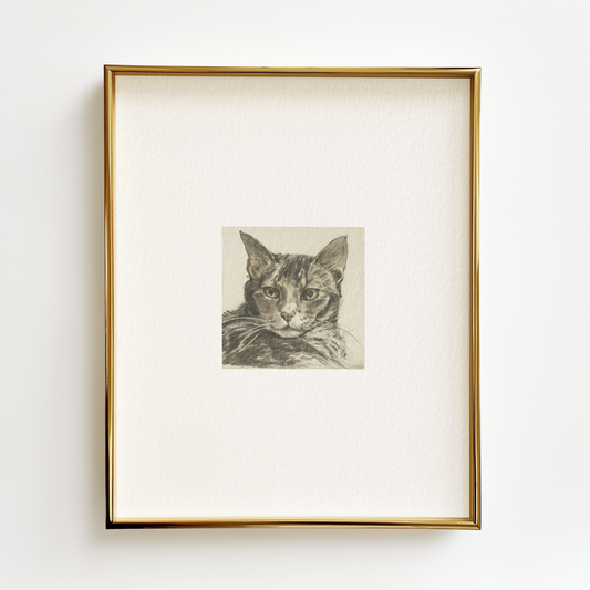 Tabby Cat Edition .01