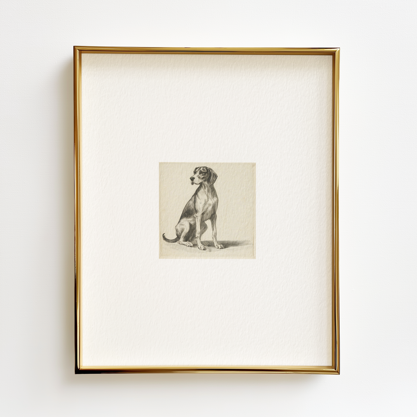 Treeing Walker Coonhound Edition .02