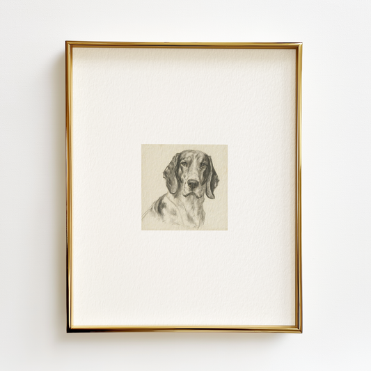 Treeing Walker Coonhound Edition .01