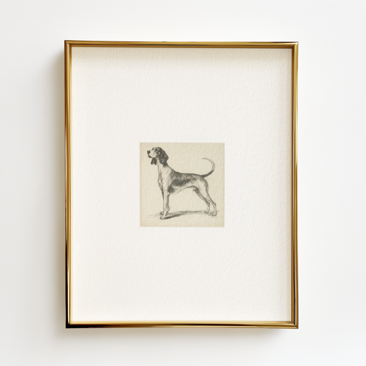 Treeing Walker Coonhound Edition .03