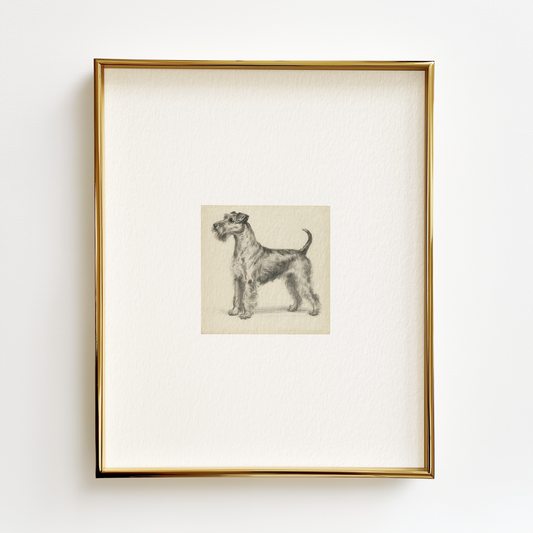 Welsh Terrier Edition .03