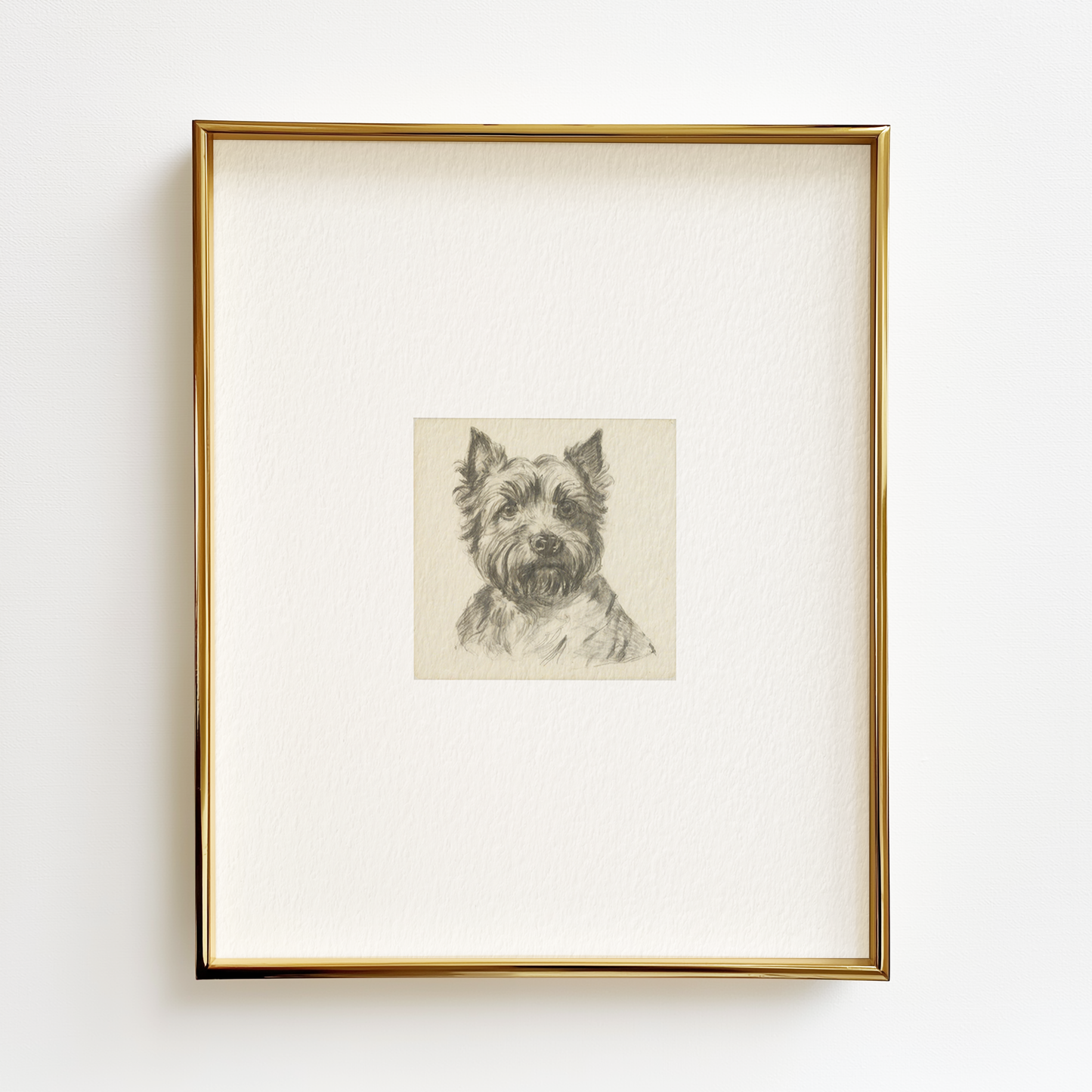 West Highland Terrier Edition .01