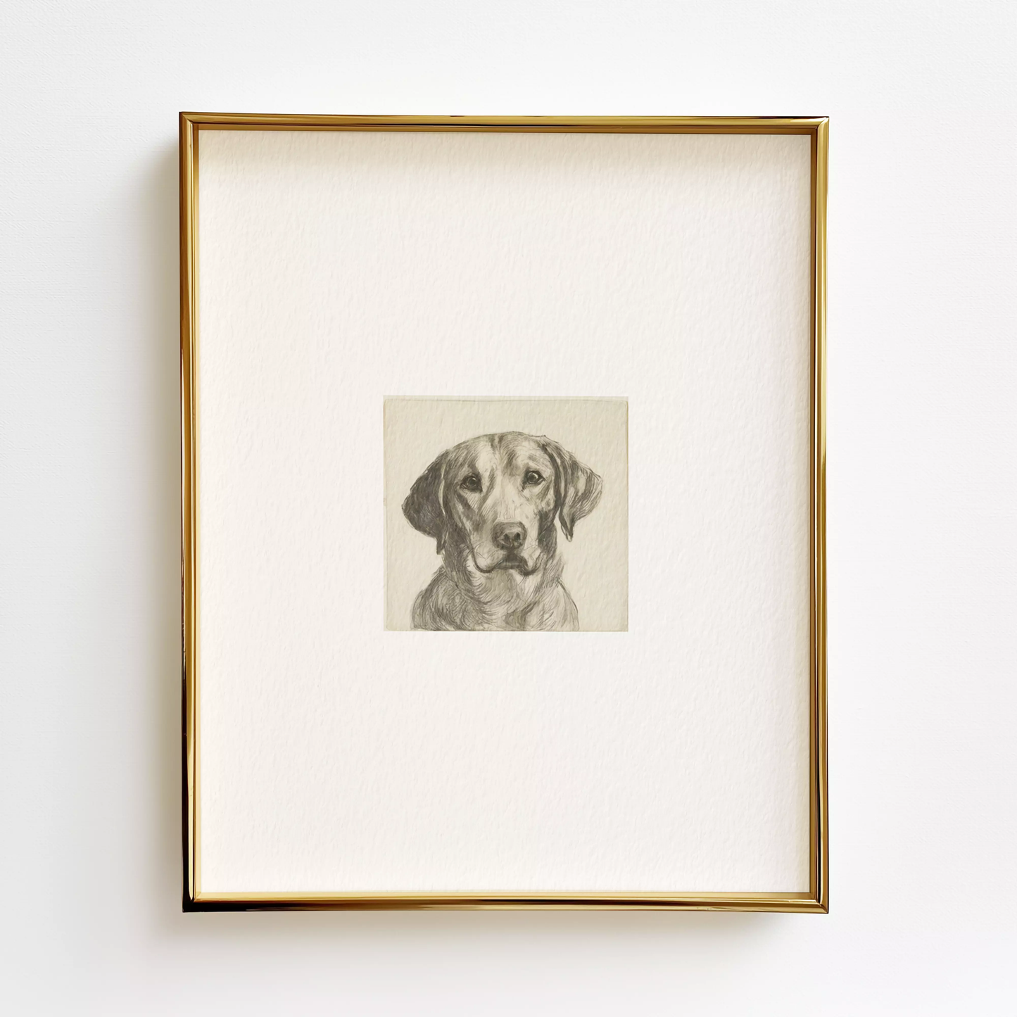 Yellow Labrador Edition .01