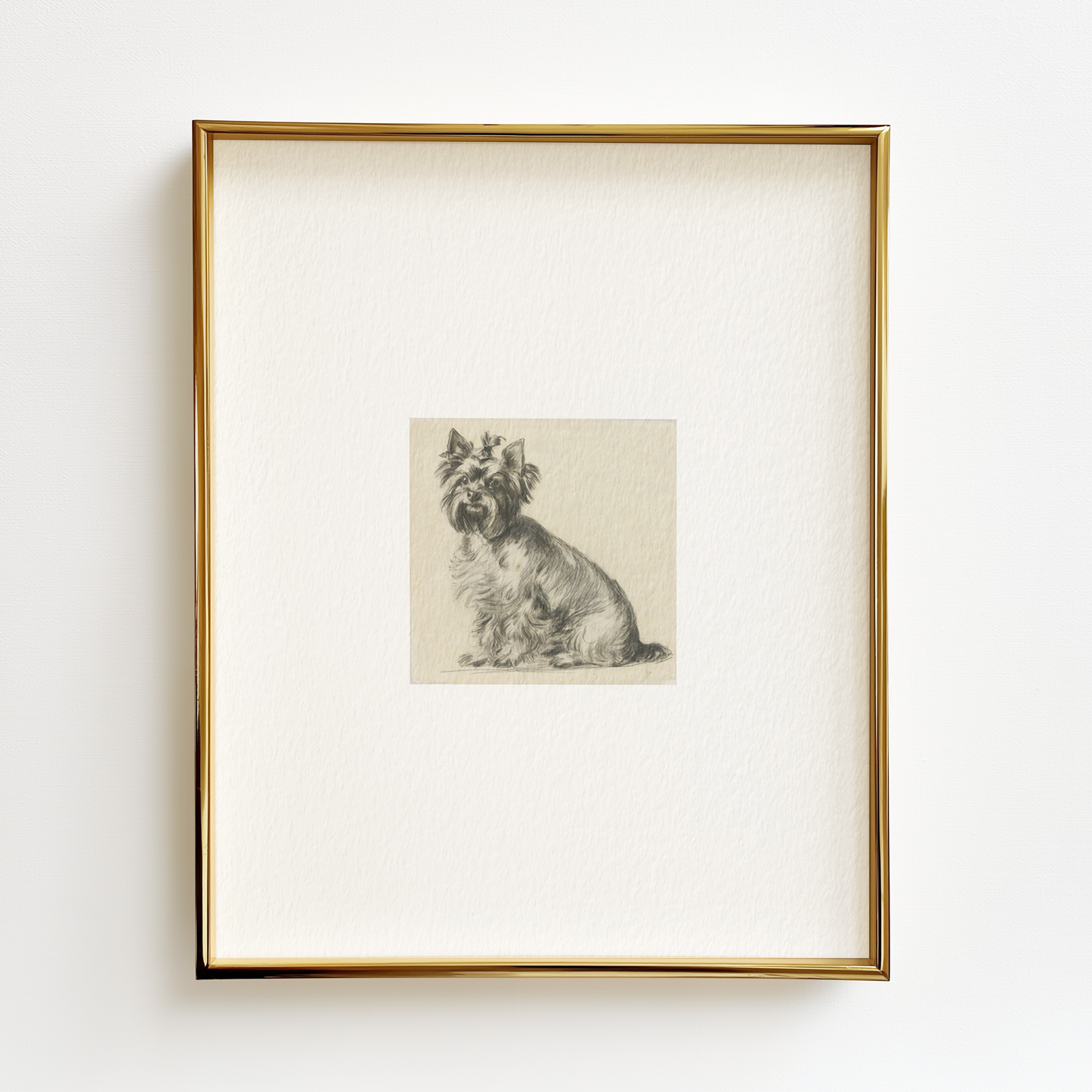 Yorkshire Terrier Edition .02