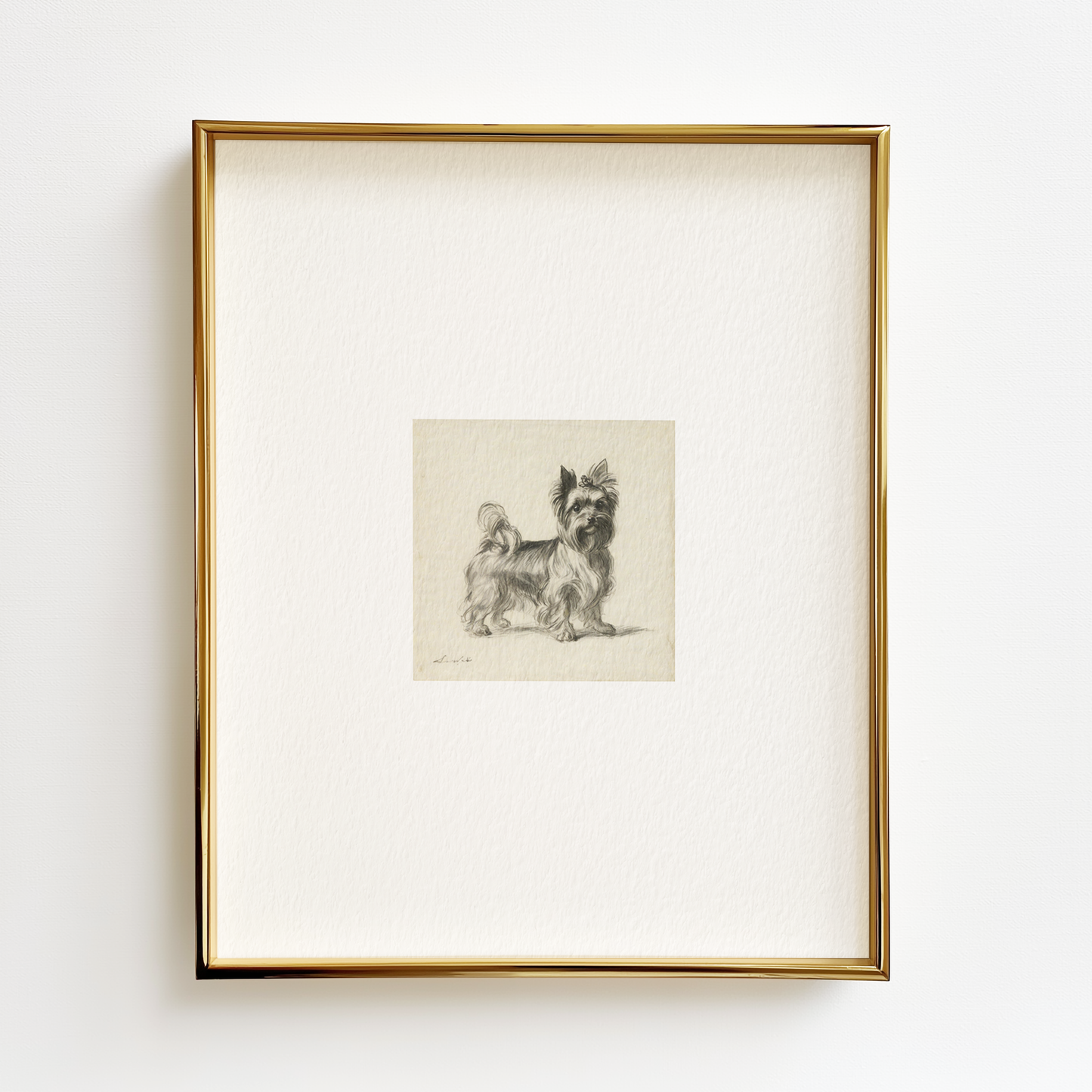 Yorkshire Terrier Edition .03