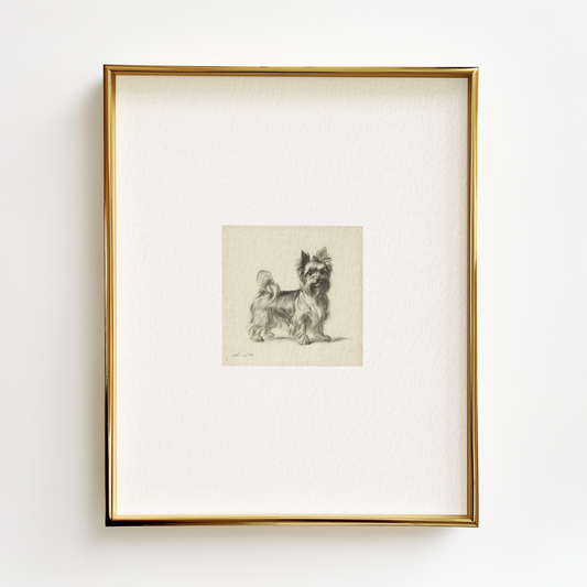 Yorkshire Terrier Edition .03